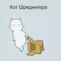 Кот Шредингера