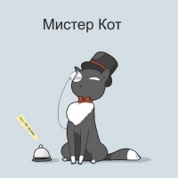 Мистер Кот