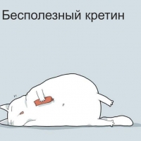 Бесполезный кретин