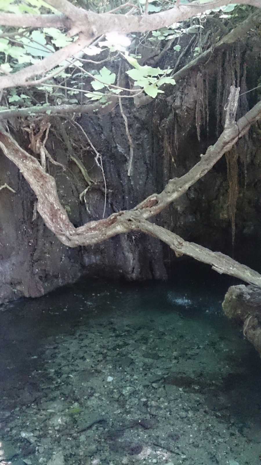 Купальня Афродиты