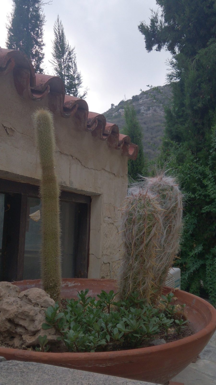 Внутренний дворик монастыря