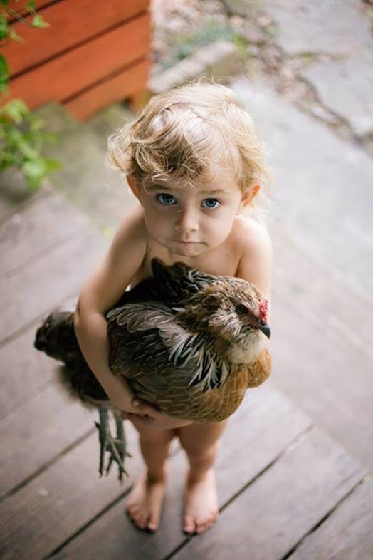 Знакомьтесь, это Ряба