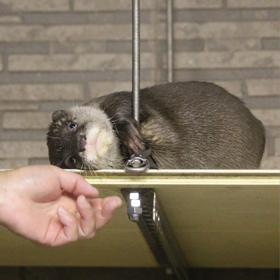 Чёт взгрустнулось