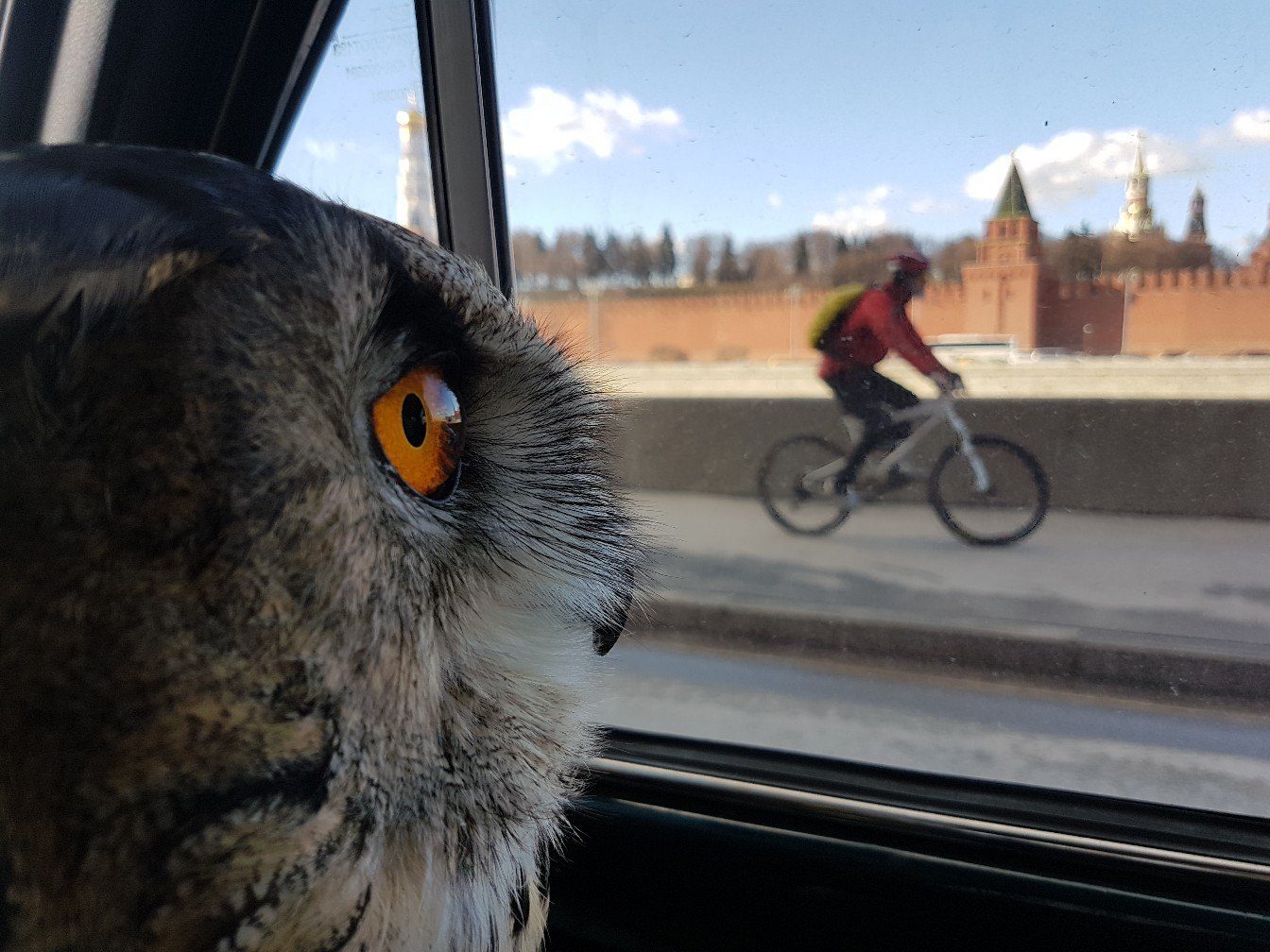 Когда хочешь кататься велосипеде