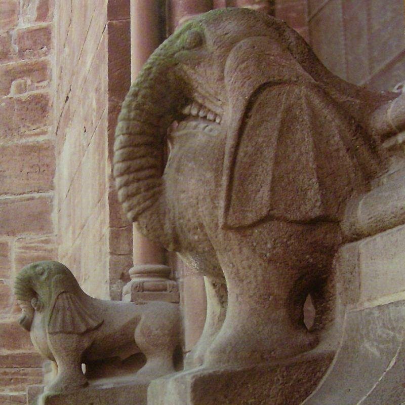 Medieval Elephant Medieval Elephant