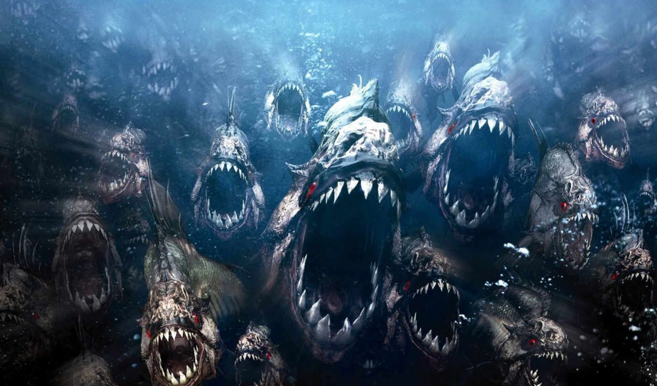 Рыбки Рыбки