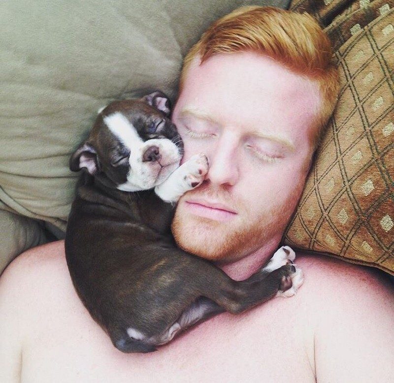 Сладкие сны