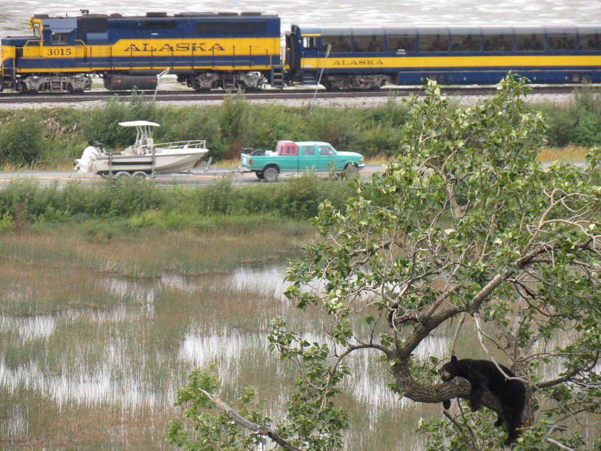 Слишком много в мире суеты