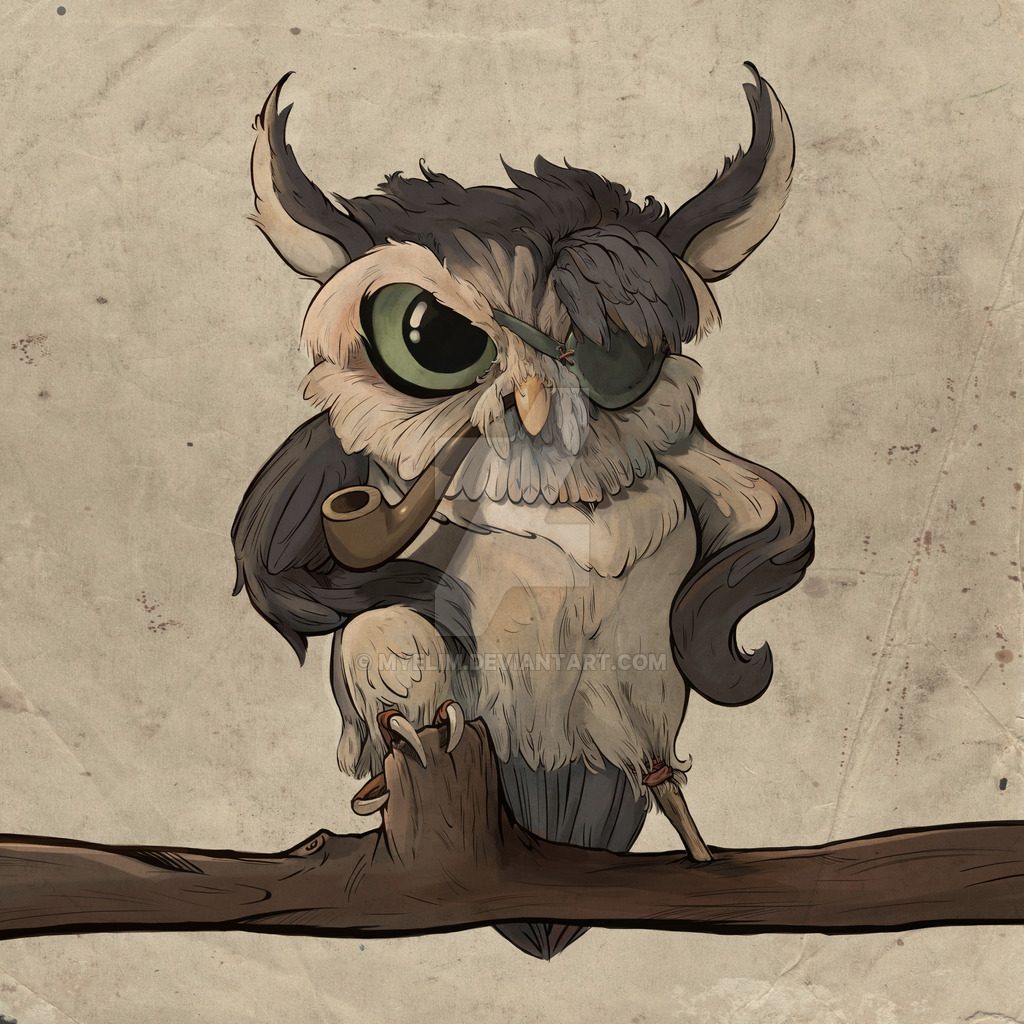 Сова-пират Пабло