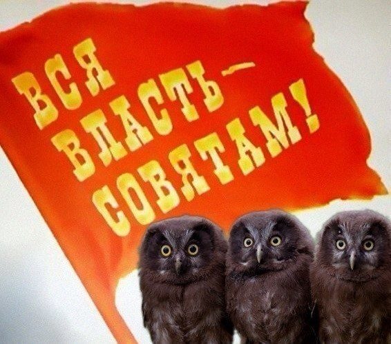 Вся власть совятам! Вся власть совятам!