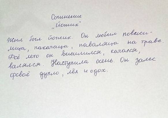 жызнь йожика