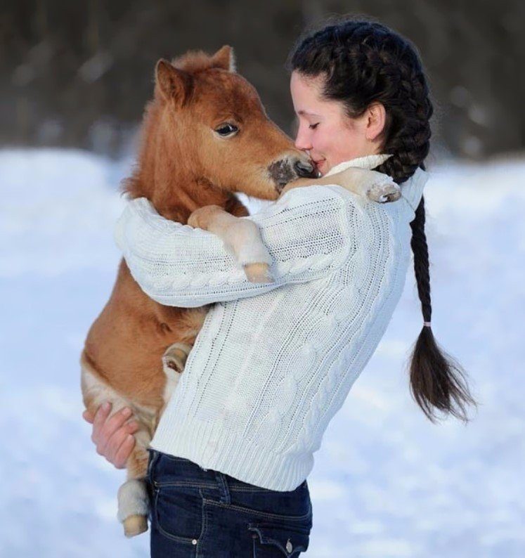 коняшка коняшка