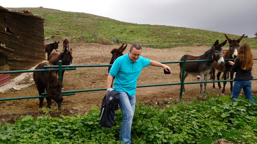 Да ну вас нафиг :)