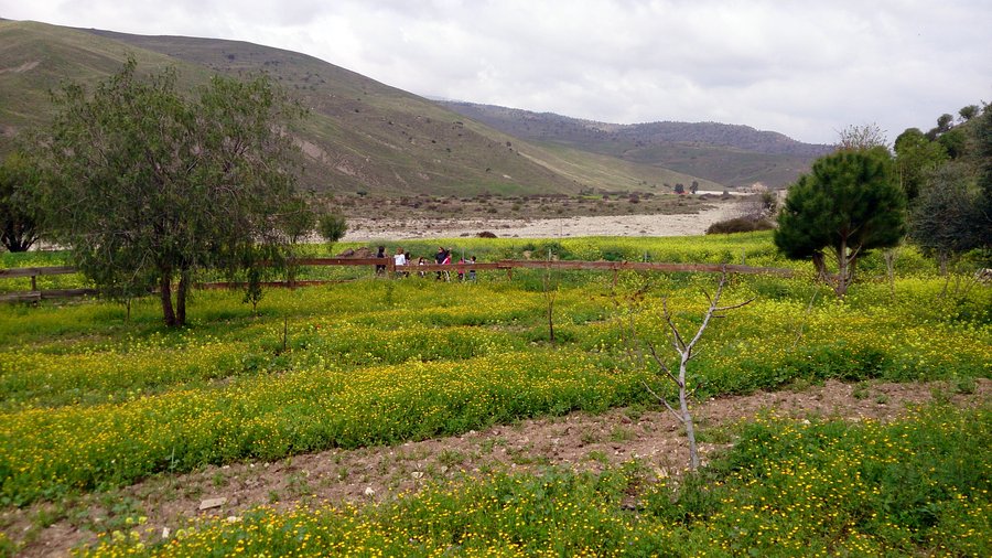 Вид с фермы в сторону монастыря