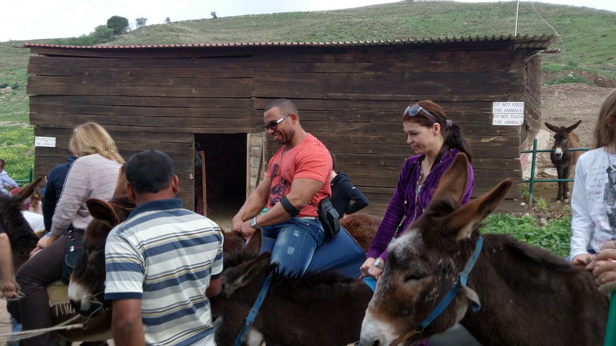 Отважные герои обуздали шумных монстров!
