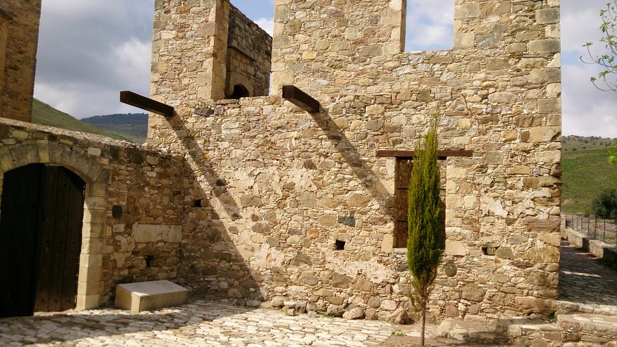 Кипарис рядом с входом