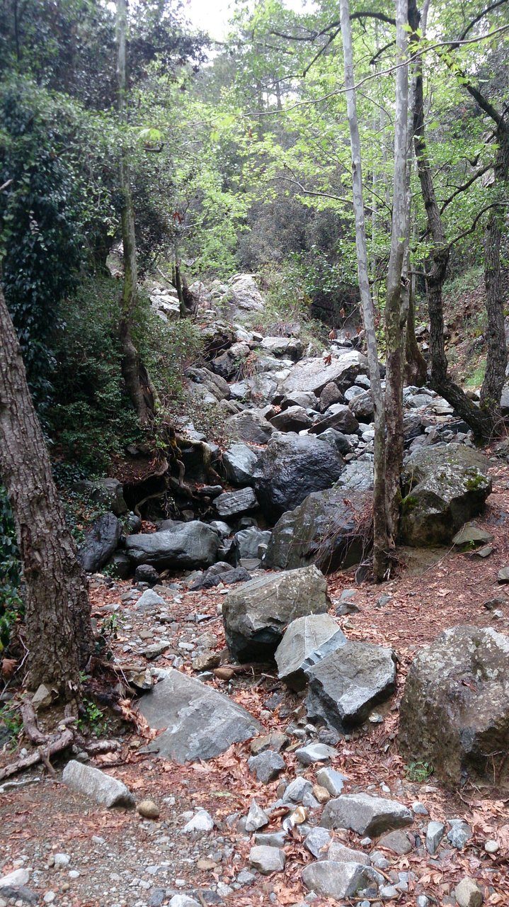 Caledonia Nature Trail