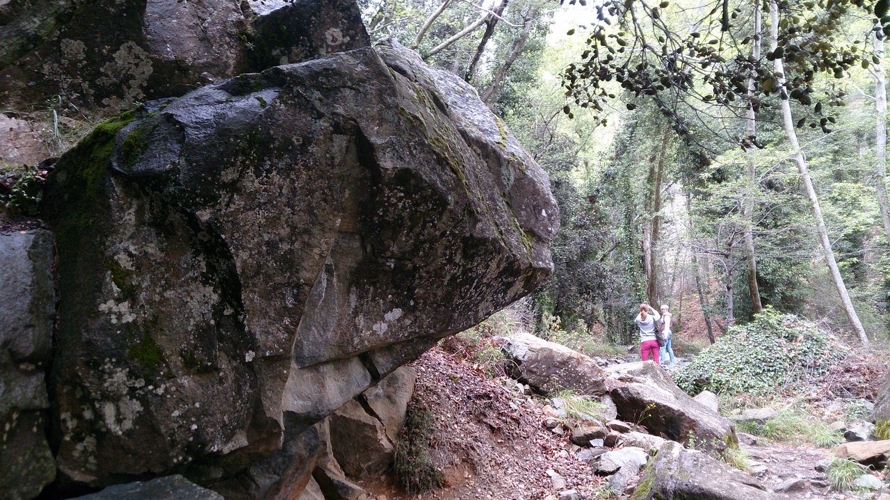Caledonia Nature Trail