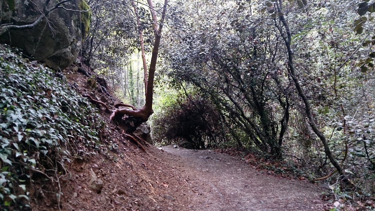 Caledonia Nature Trail