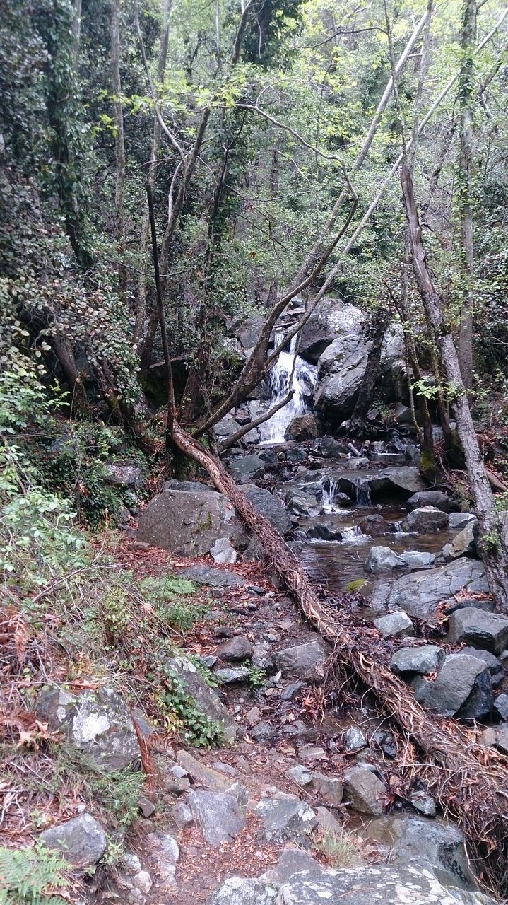 Caledonia Nature Trail
