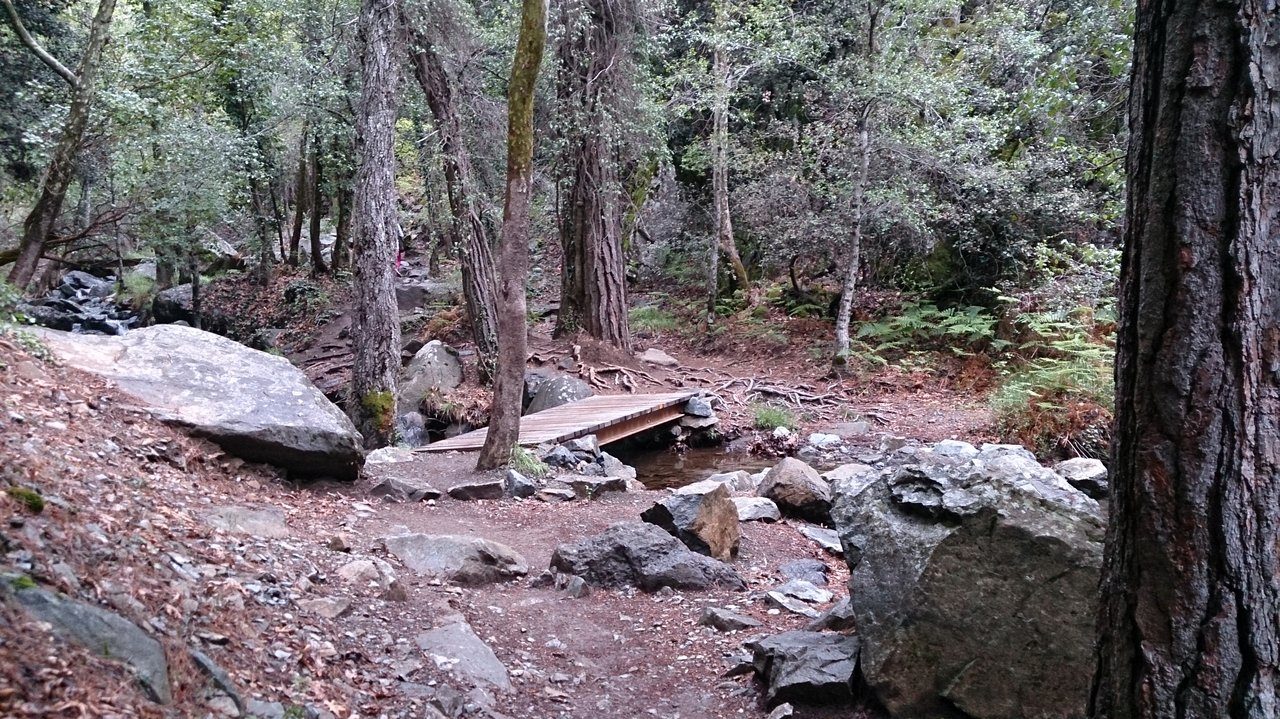 Caledonia Nature Trail