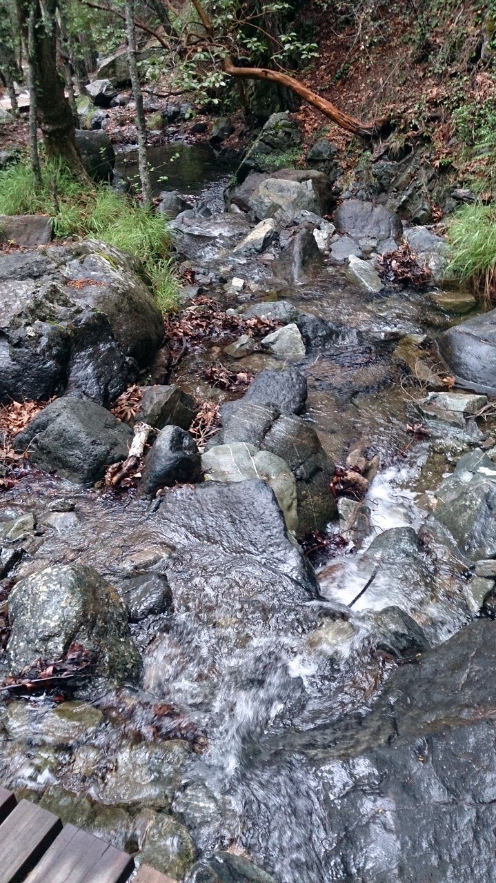 Caledonia Nature Trail