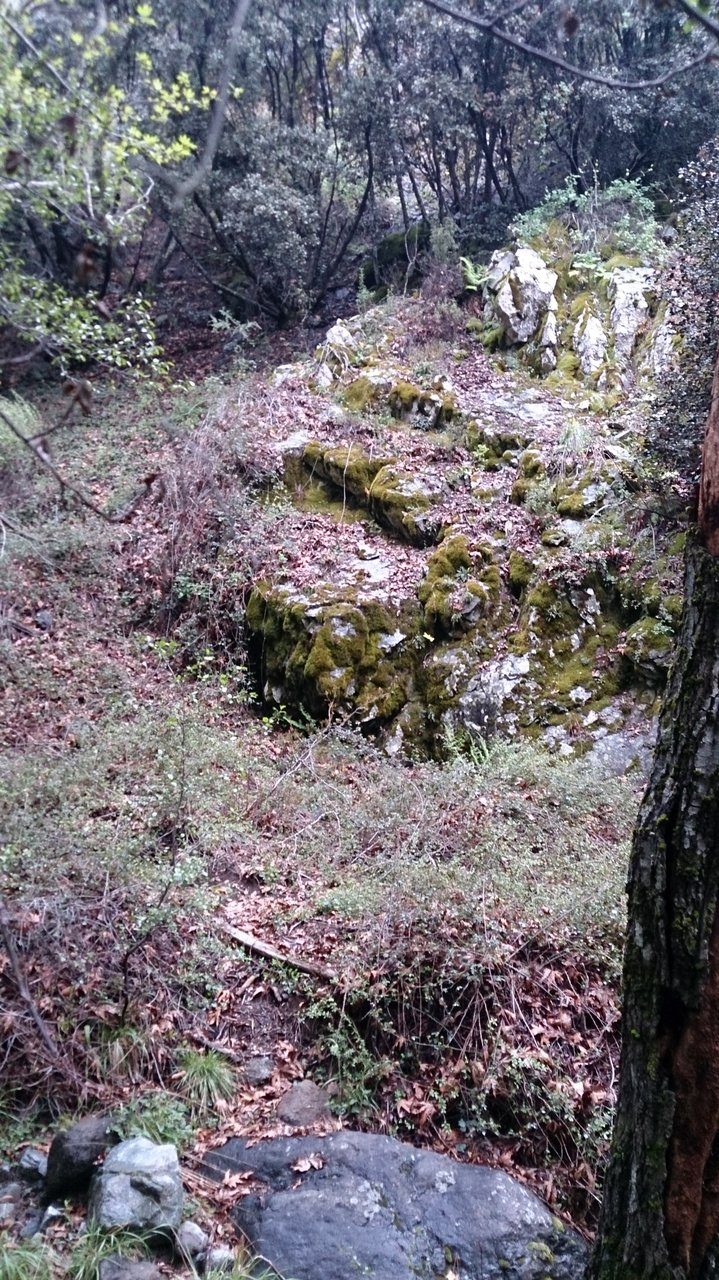 Caledonia Nature Trail