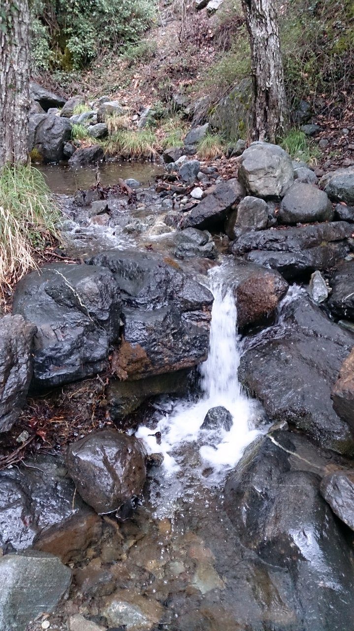 Caledonia Nature Trail
