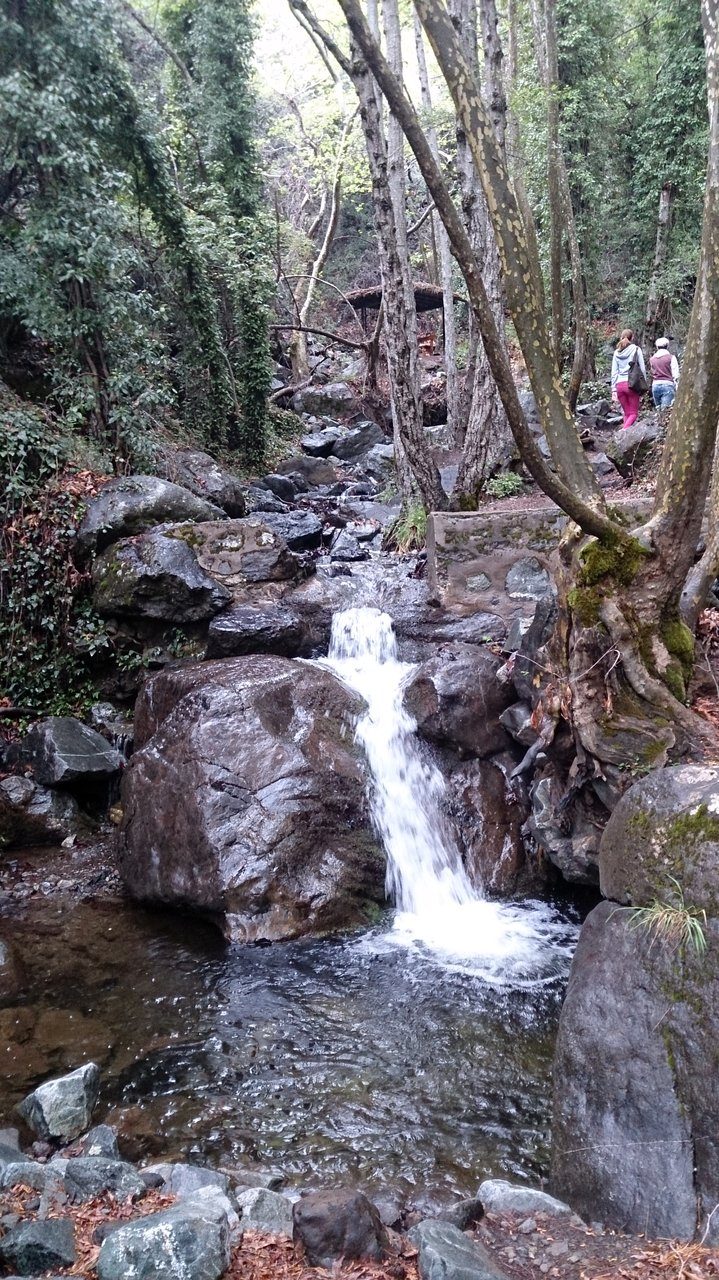 Caledonia Nature Trail