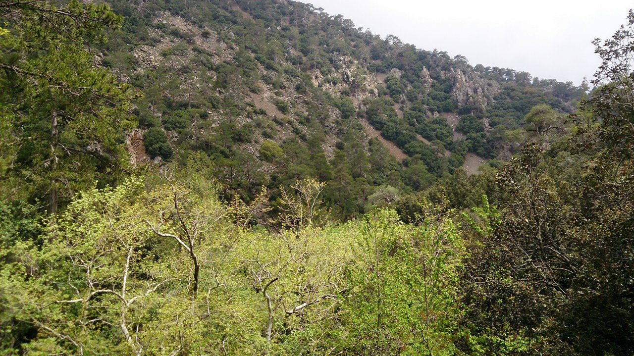 Caledonia Waterfalls, вид с вершины