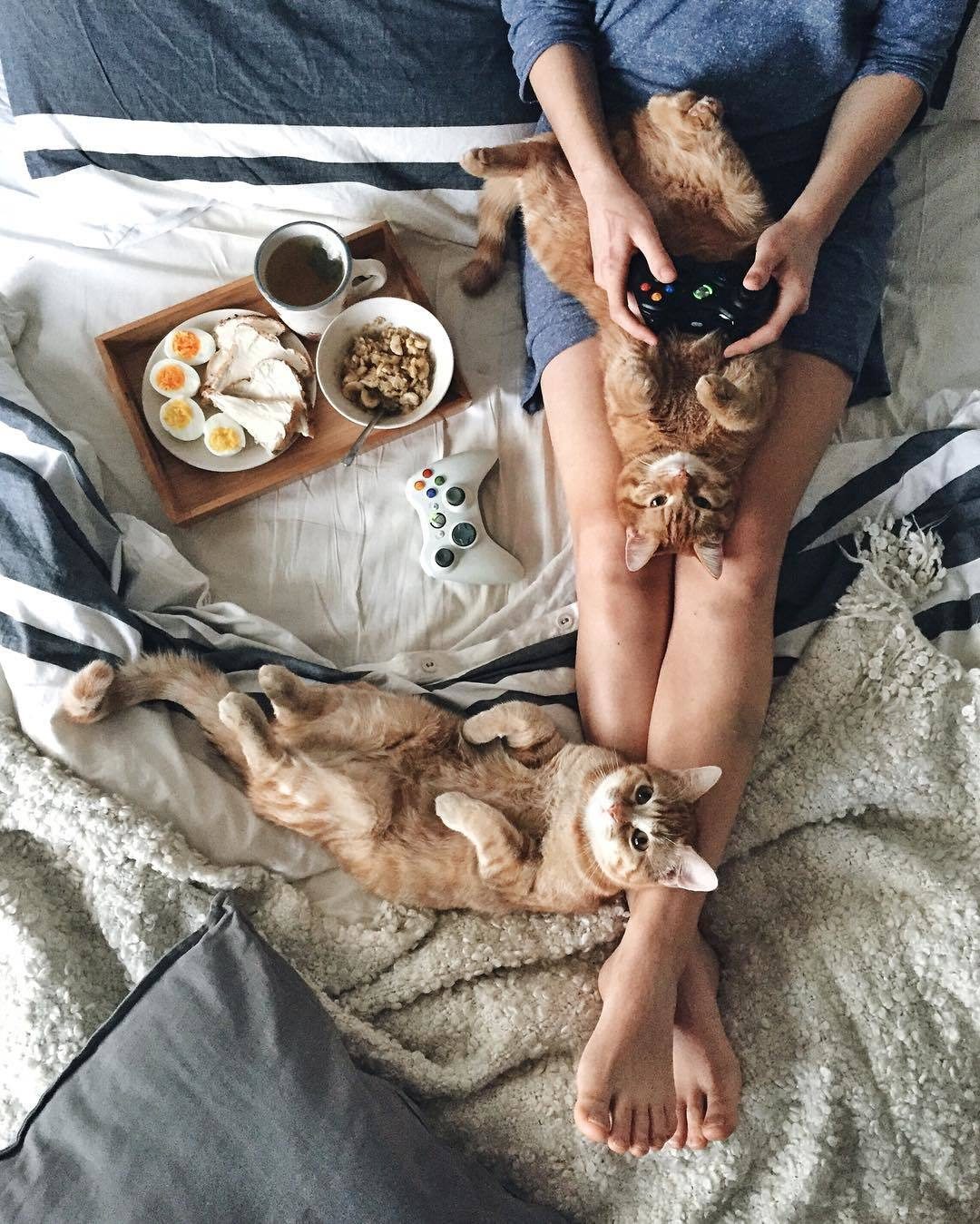 Что ещё нужно для счастья?