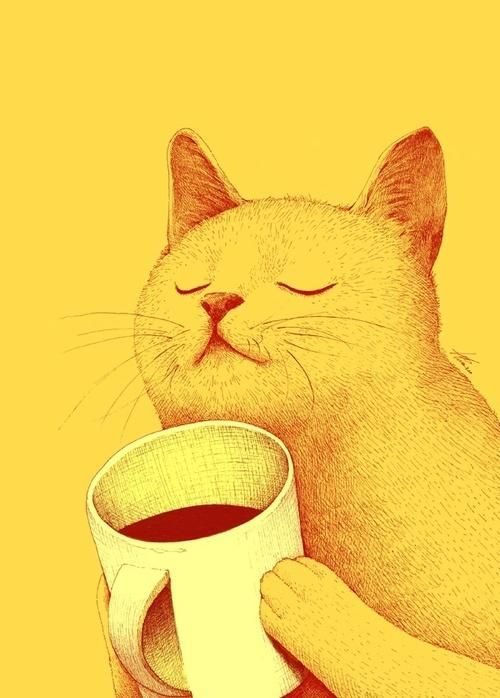 Cat and Coffee