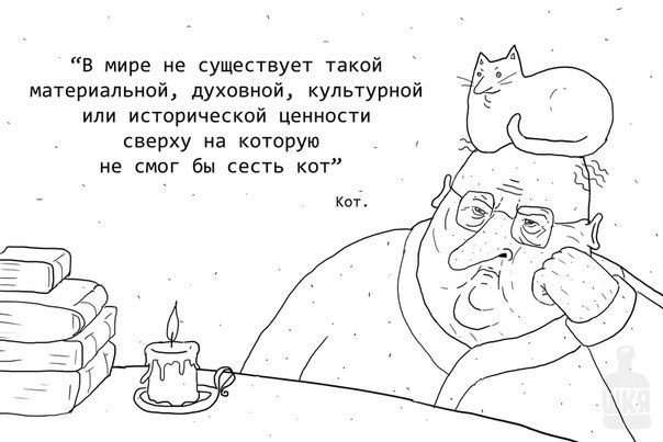 Кот и ценности