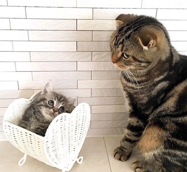 Ну мааааам!