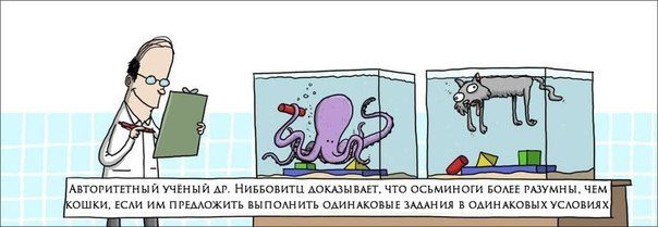 Одинаковые задания в одинаковых условиях