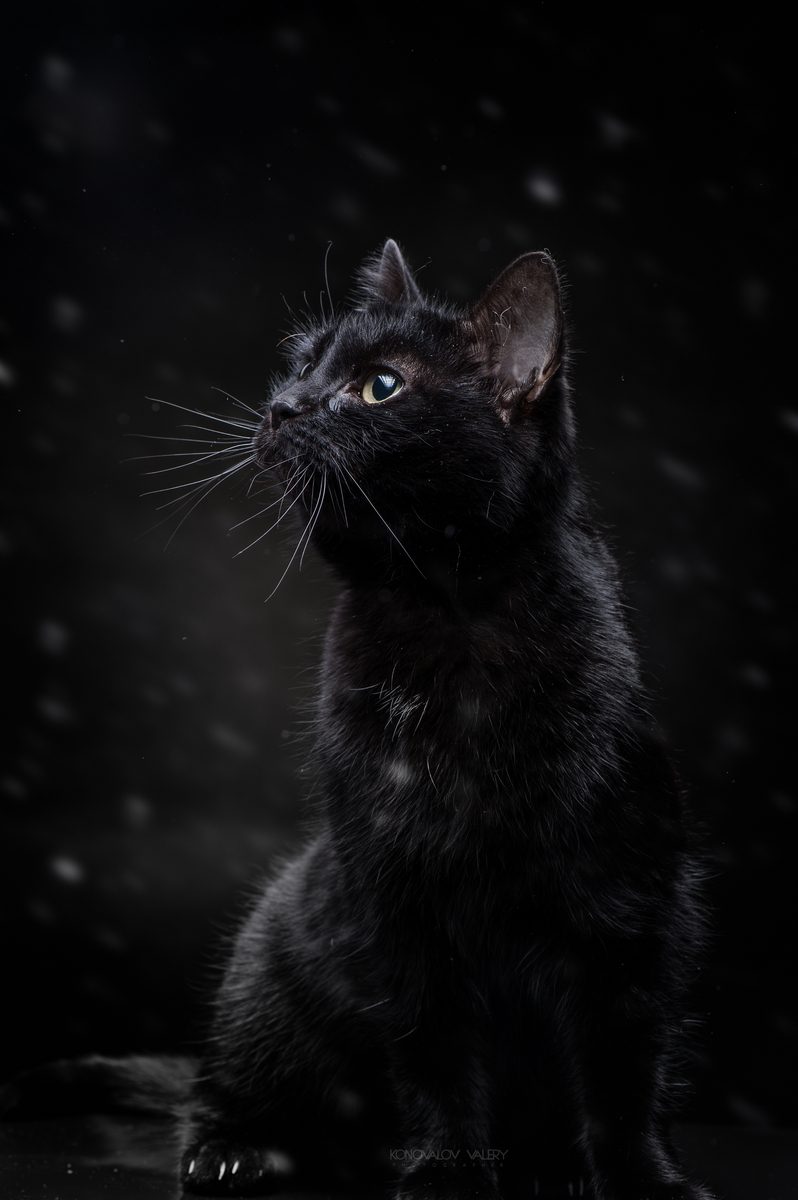 Оттенки чёрного Оттенки чёрного