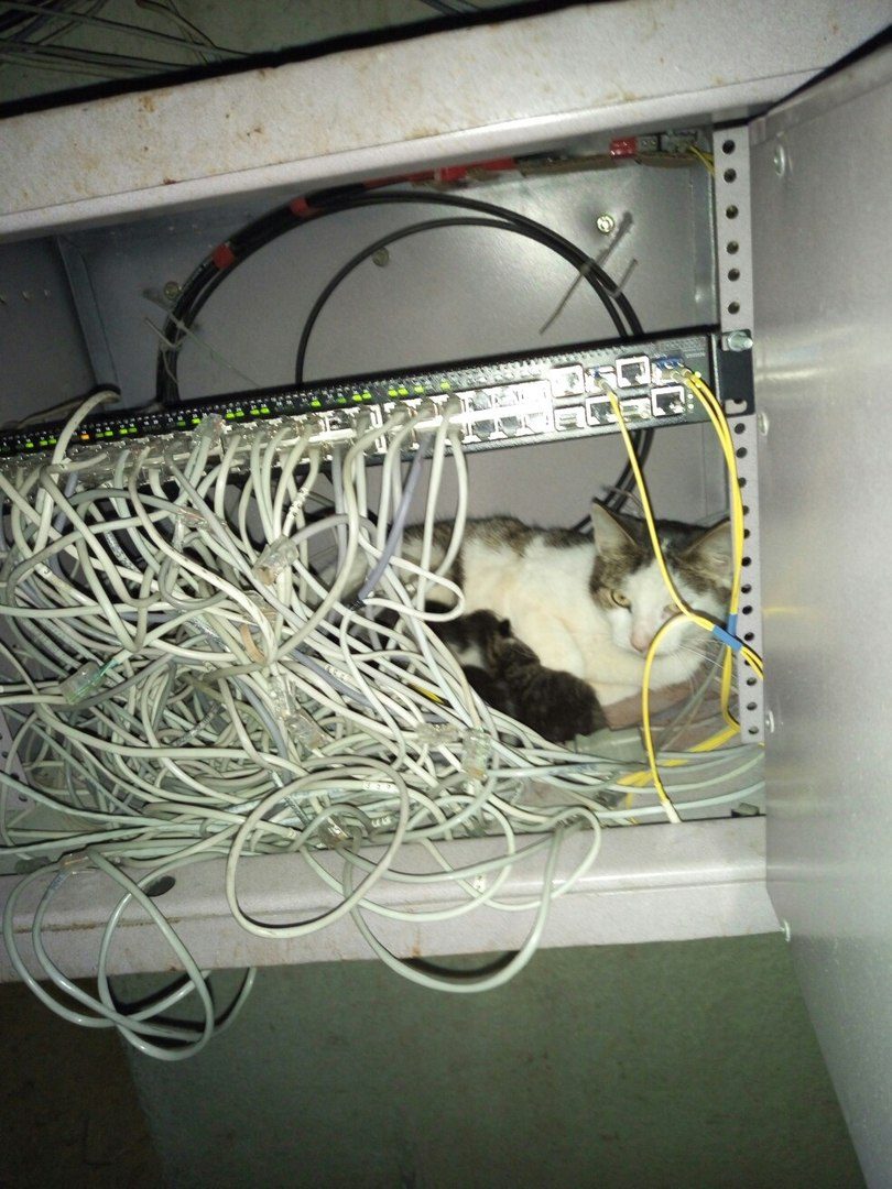 Специалист по сетям Специалист по сетям