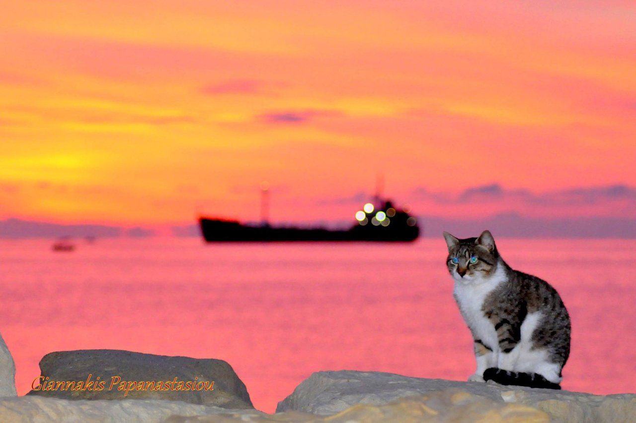 Типичный кипрский пейзаж