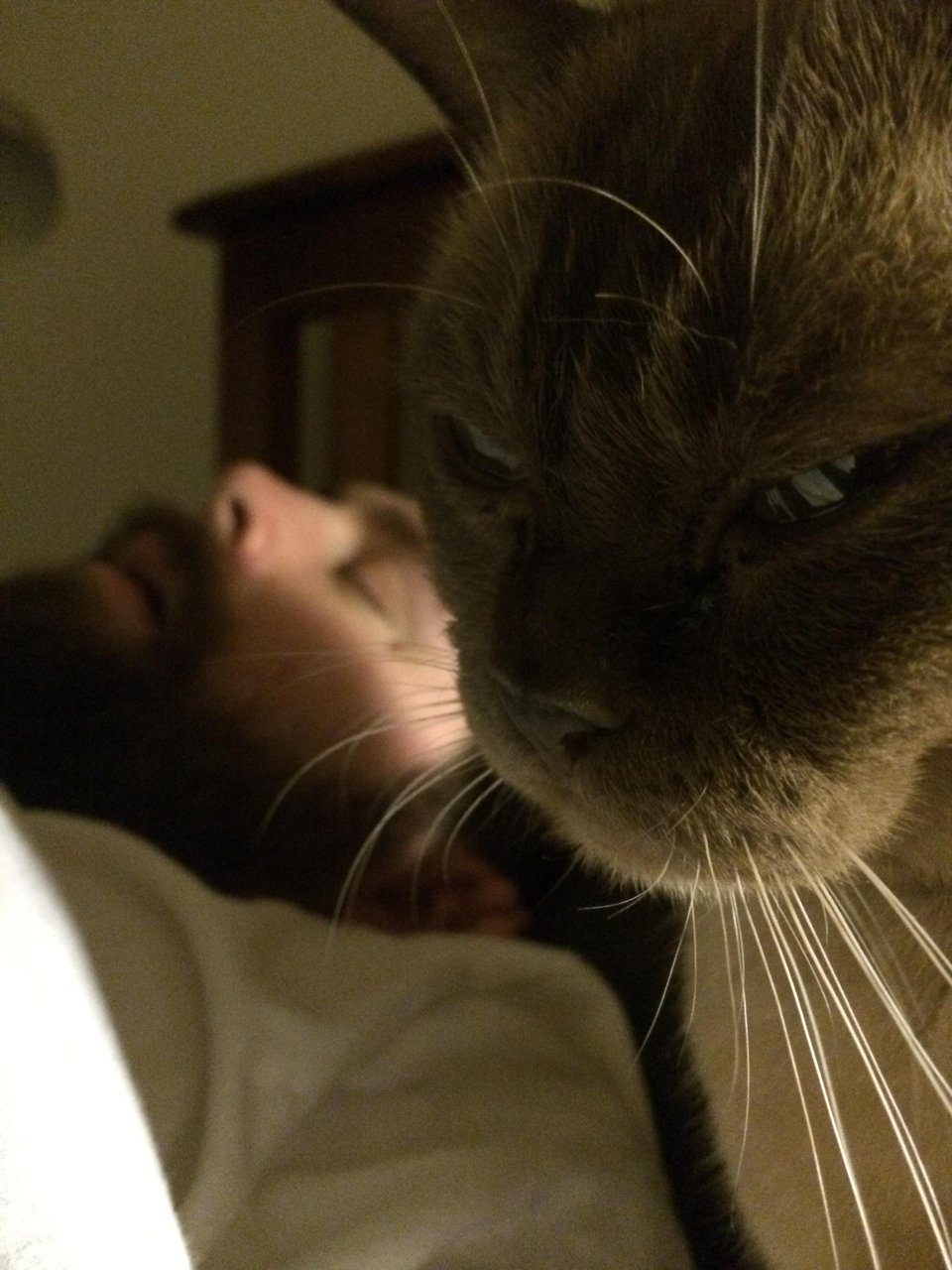 Ты следующий Ты следующий