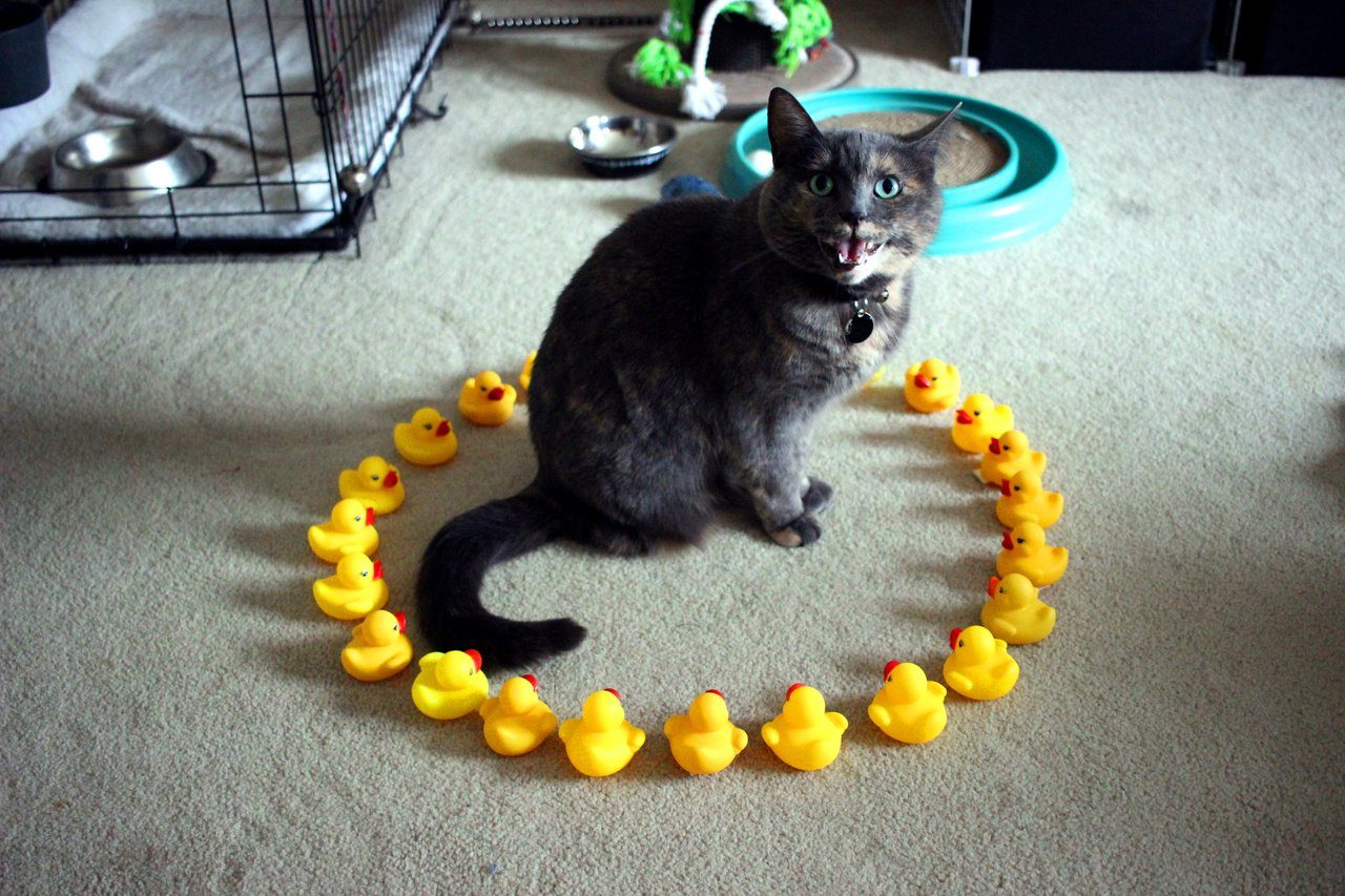 В ловушке для демонов В ловушке для демонов