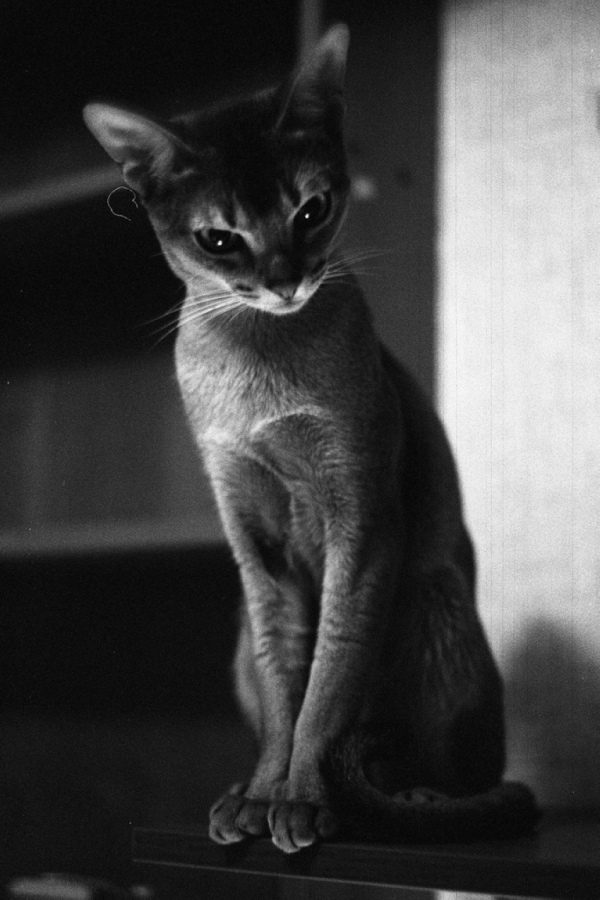 Изящество...