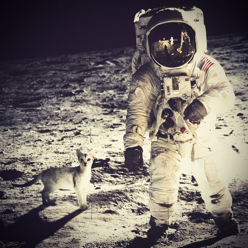 Снимок с Луны без фотошопа