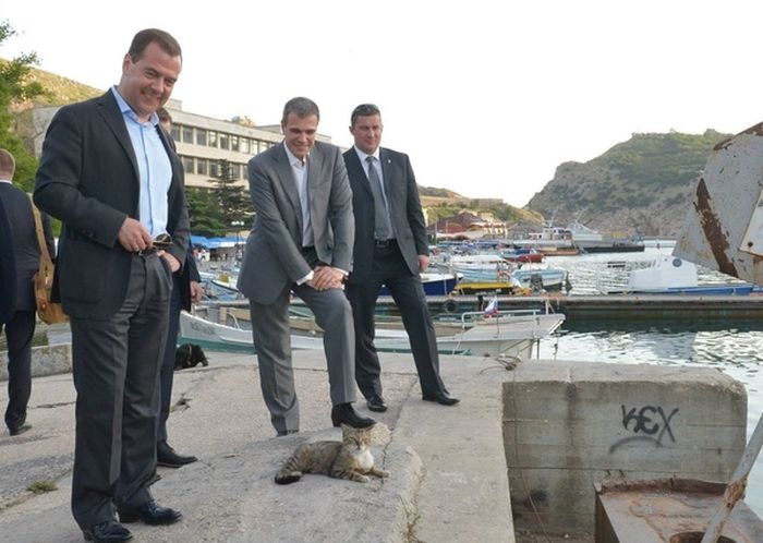 Сразу ясно, кто здесь главный!