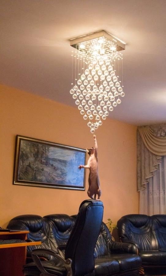 Сволочь малолетняя! :)