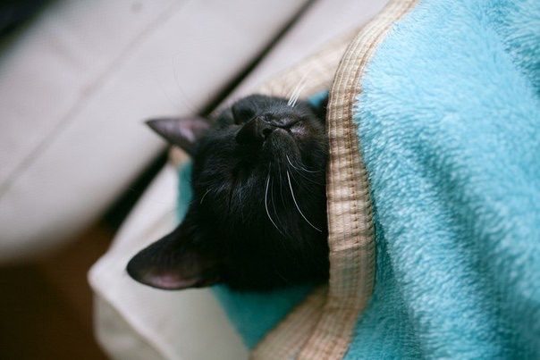 Всем спать!