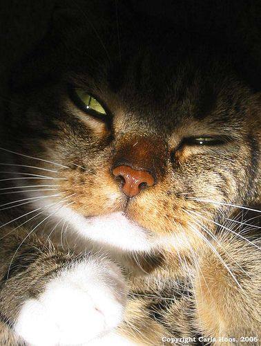 Я слежу за тобой, %username%...