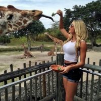 Кормление длинношеих