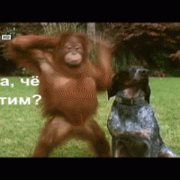 Дык я уже! Дык я уже!