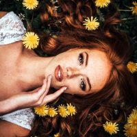 Одуванчики Одуванчики