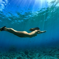 Дайвинг Дайвинг